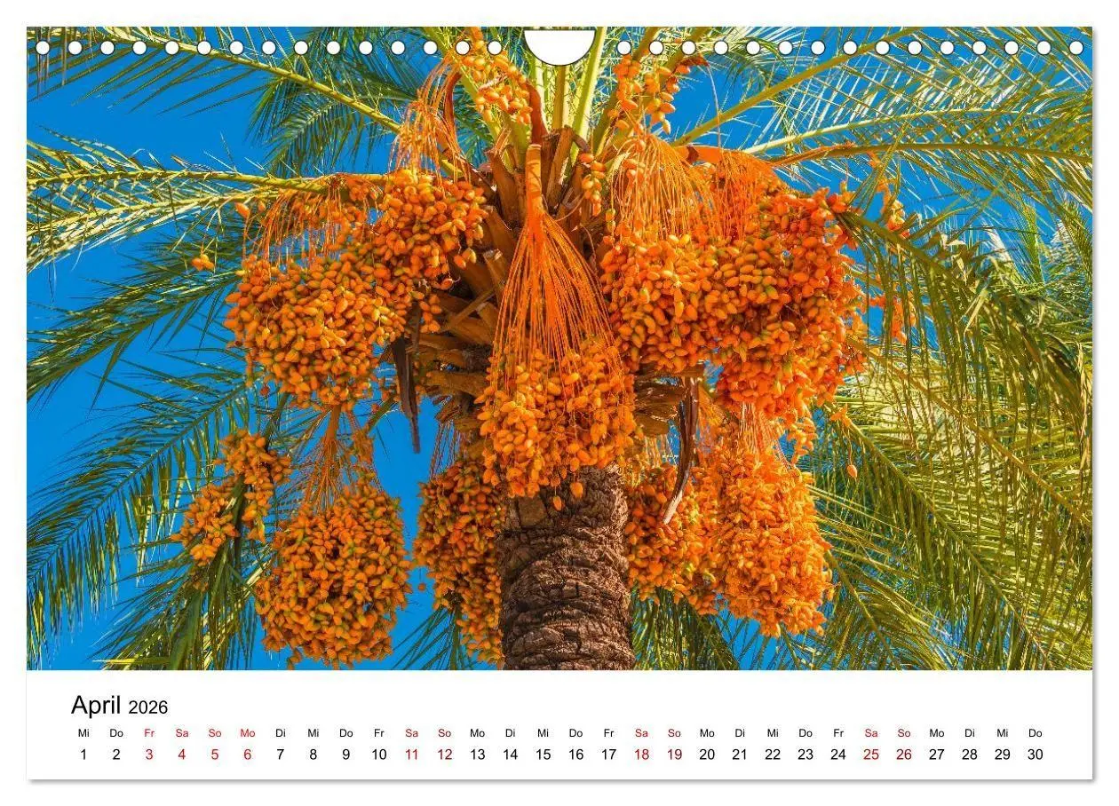 Bild: 9783516661156 | Türkei, Antalya: Urlaubsparadies am Mittelmeer (Wandkalender 2026...