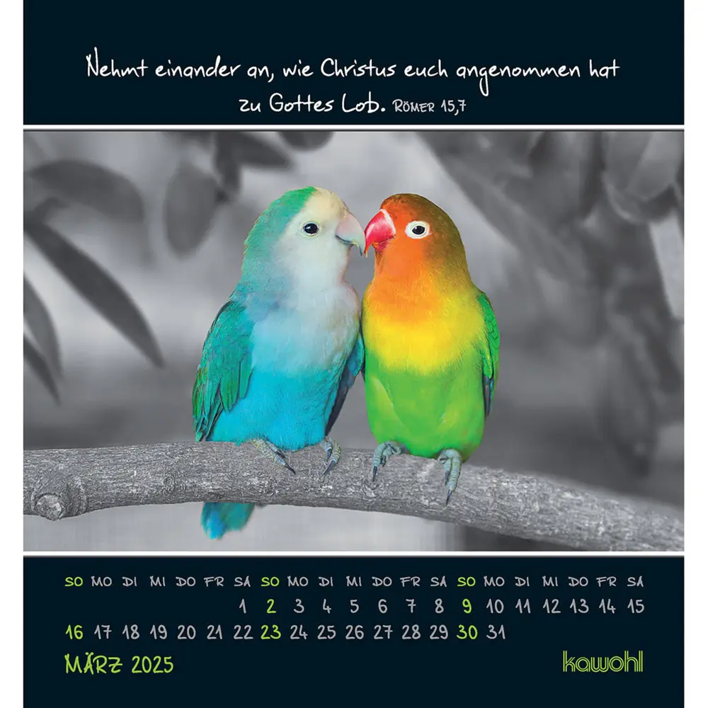 Bild: 9783754881156 | Freu dich an kleinen Wundern 2025 | Kalender | Spiralbindung | Deutsch