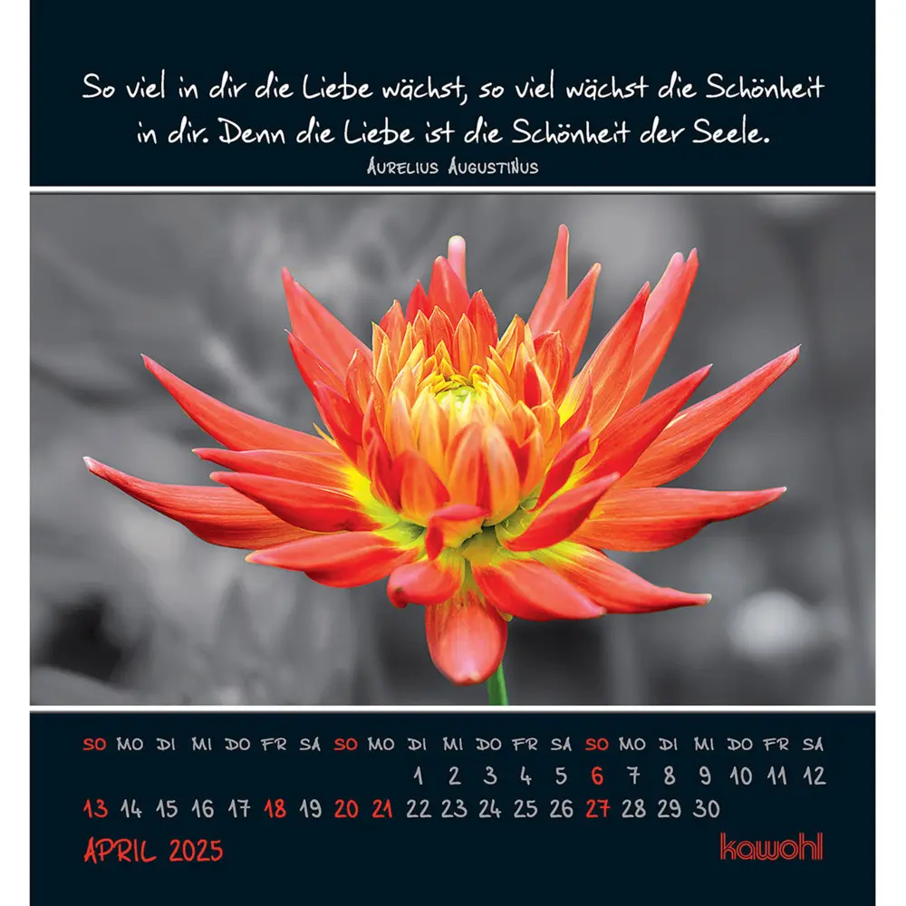 Bild: 9783754881156 | Freu dich an kleinen Wundern 2025 | Kalender | Spiralbindung | Deutsch