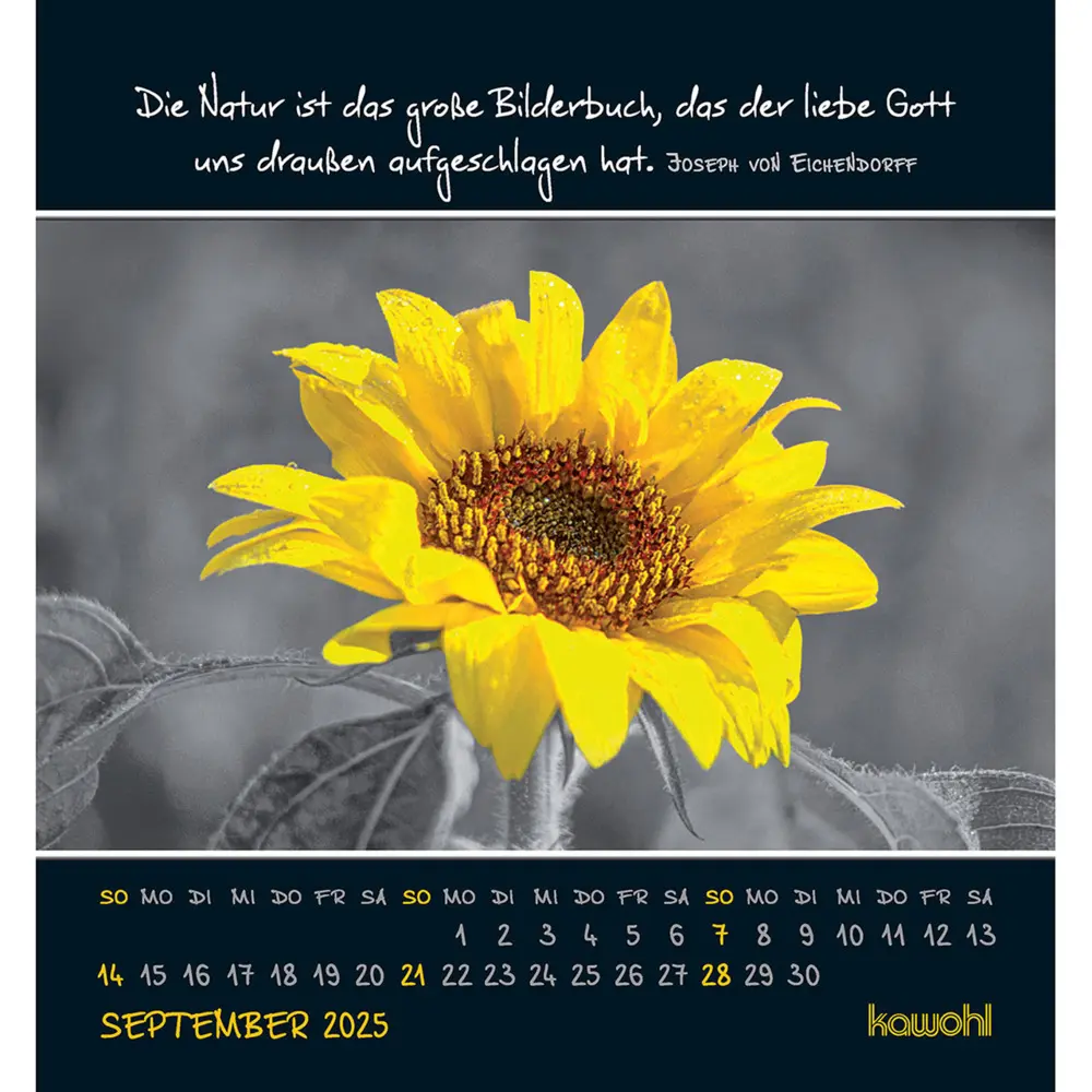 Bild: 9783754881156 | Freu dich an kleinen Wundern 2025 | Kalender | Spiralbindung | Deutsch