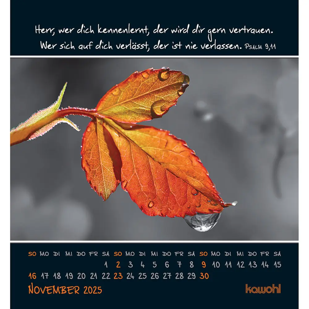 Bild: 9783754881156 | Freu dich an kleinen Wundern 2025 | Kalender | Spiralbindung | Deutsch