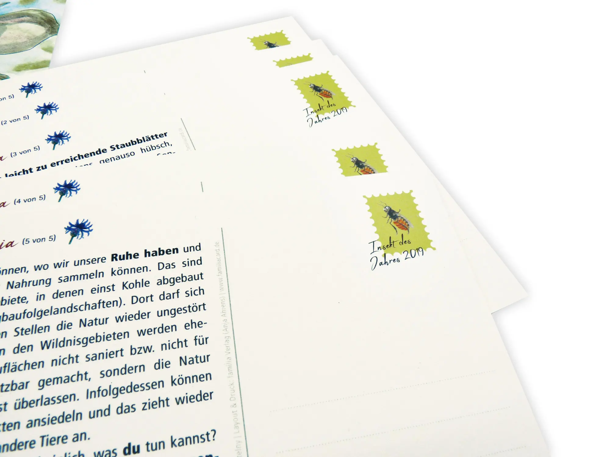 Bild: 9783961311156 | Die kleine Biene Osmia | Postkartengeschichten | Nicole Pustelny