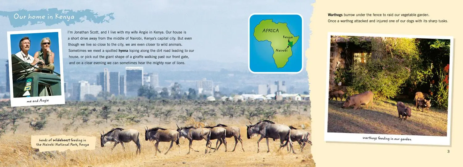 Bild: 9780007231256 | On Safari | Band 15/Emerald | Johnathan Scott (u. a.) | Taschenbuch