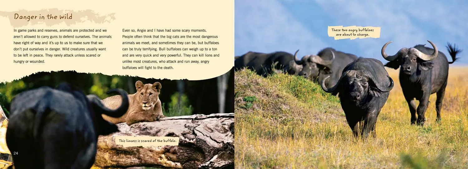 Bild: 9780007231256 | On Safari | Band 15/Emerald | Johnathan Scott (u. a.) | Taschenbuch