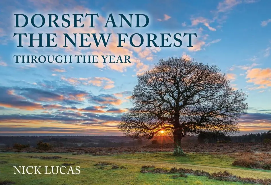 Cover: 9781398121256 | Dorset and the New Forest Through the Year | Nick Lucas | Taschenbuch