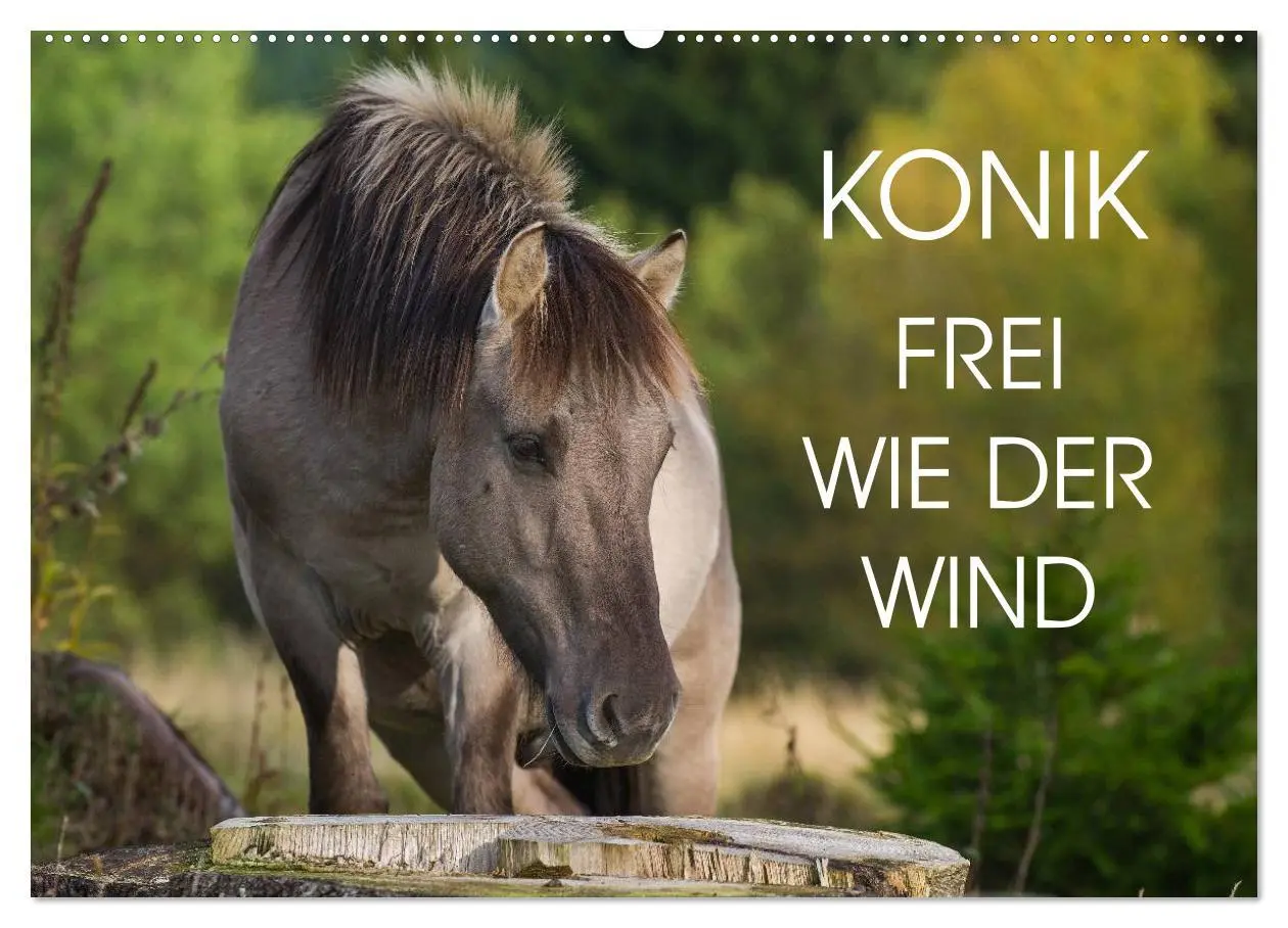 Cover: 9783516031256 | Konik - Frei geboren (Wandkalender 2026 DIN A2 quer), CALVENDO...