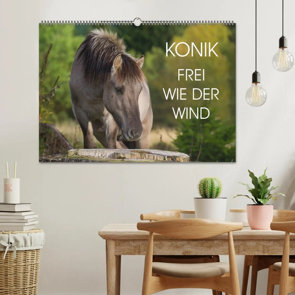Bild: 9783516031256 | Konik - Frei geboren (Wandkalender 2026 DIN A2 quer), CALVENDO...