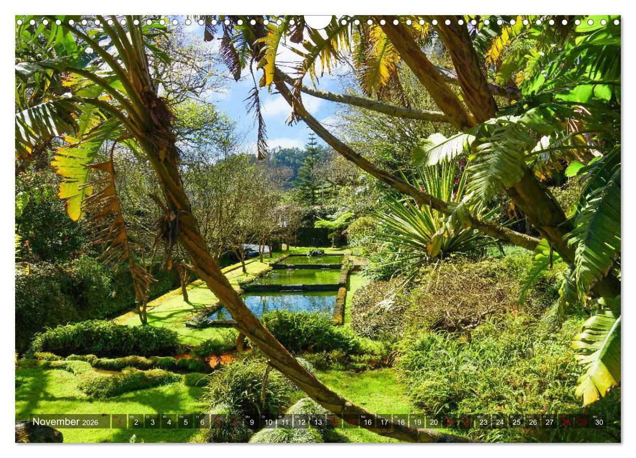 Bild: 9783457861356 | Terra Nostra Garten - ein botanisches Juwel auf den Azoren...