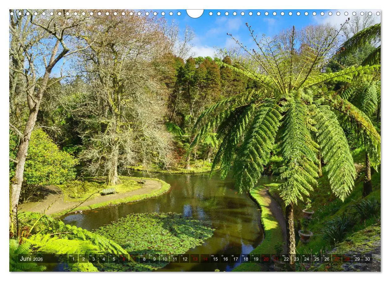 Bild: 9783457861356 | Terra Nostra Garten - ein botanisches Juwel auf den Azoren...