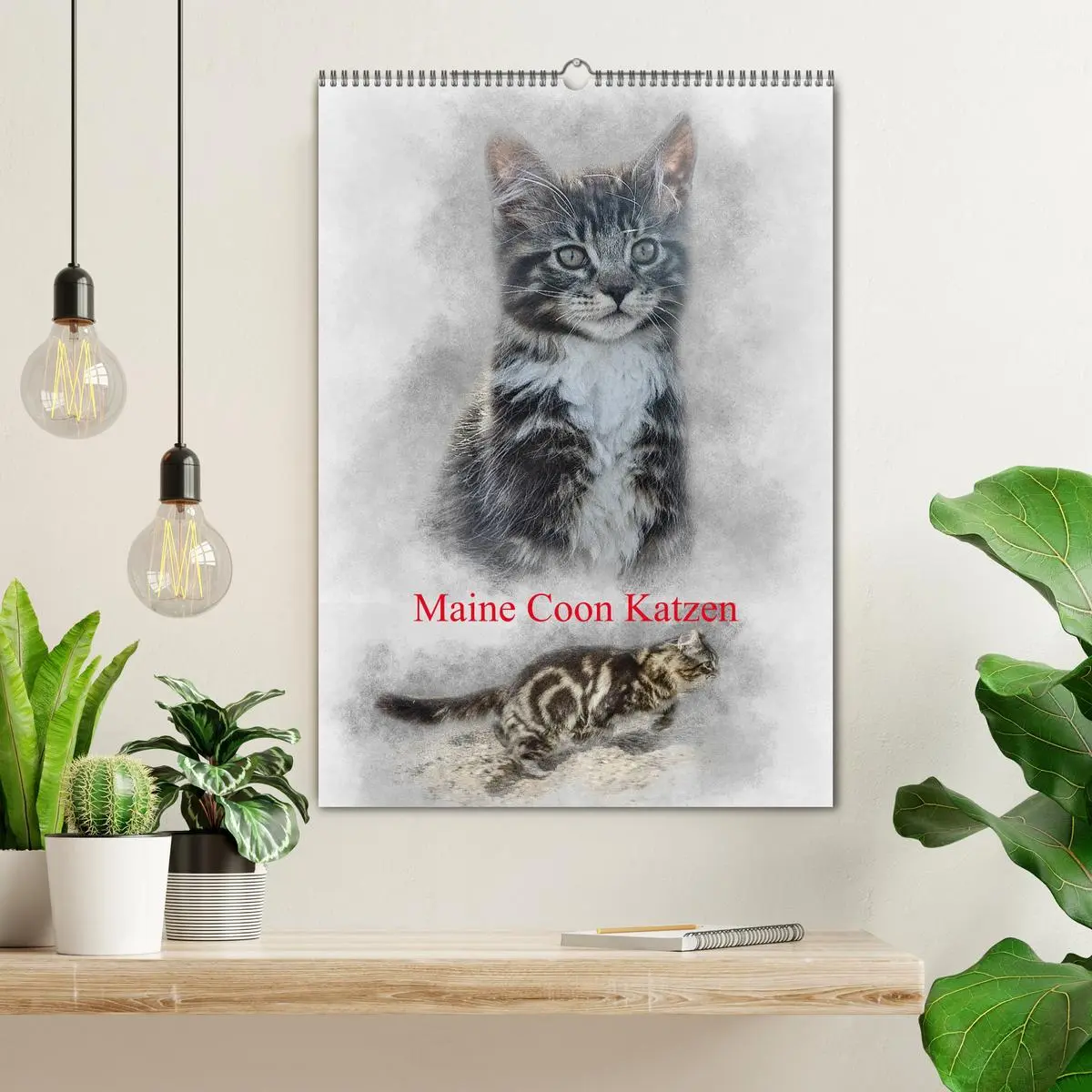 Bild: 9783516401356 | Maine Coon Katzen (Wandkalender 2026 DIN A2 hoch), CALVENDO...