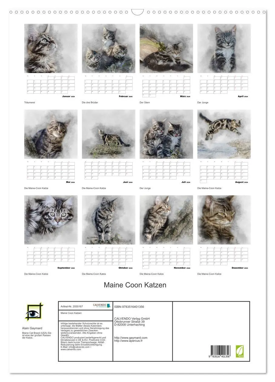 Bild: 9783516401356 | Maine Coon Katzen (Wandkalender 2026 DIN A2 hoch), CALVENDO...