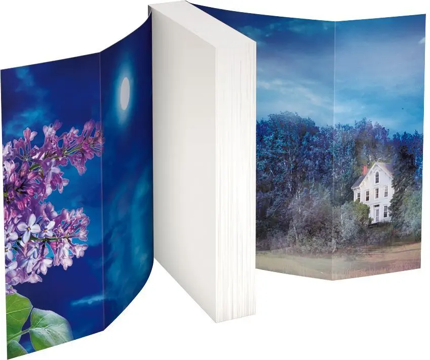Bild: 9783442381456 | Fliedernächte | Nora Roberts | Taschenbuch | Blanvalet Taschenbücher