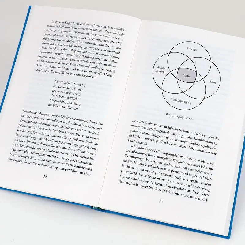Bild: 9783446271456 | Erfülltes Leben | Ein kleines Modell für eine große Idee | Thun | Buch
