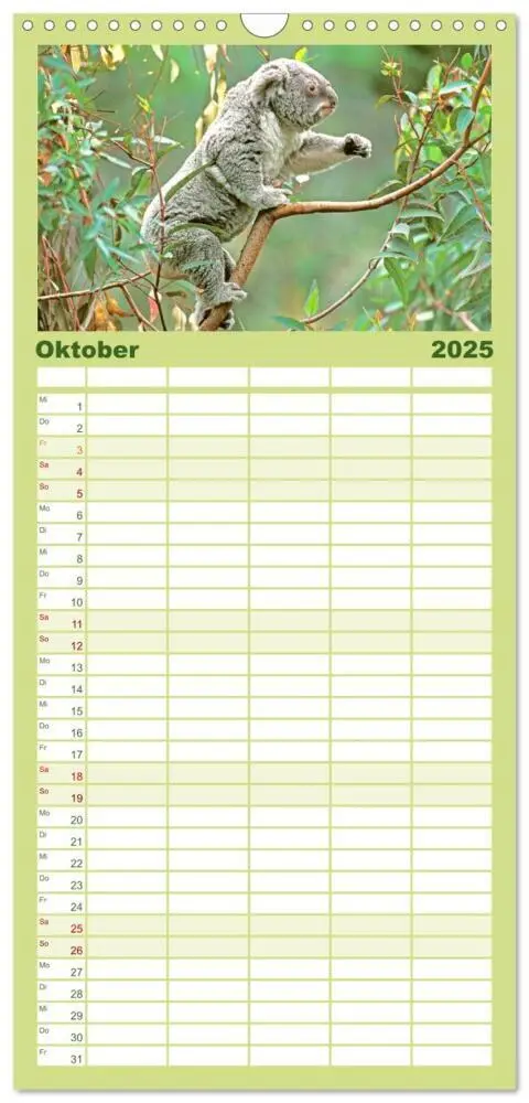 Bild: 9783457091456 | Familienplaner 2025 - Koalas: die flauschigen Herzensbrecher mit 5...