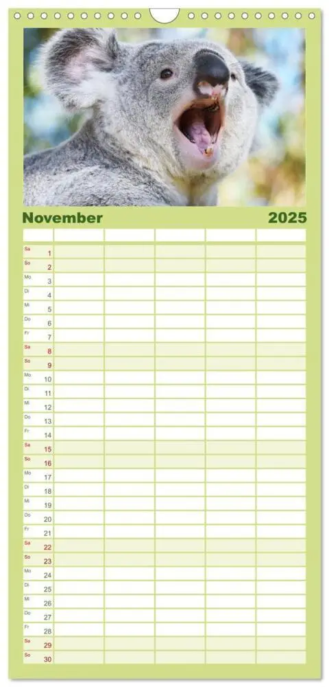 Bild: 9783457091456 | Familienplaner 2025 - Koalas: die flauschigen Herzensbrecher mit 5...