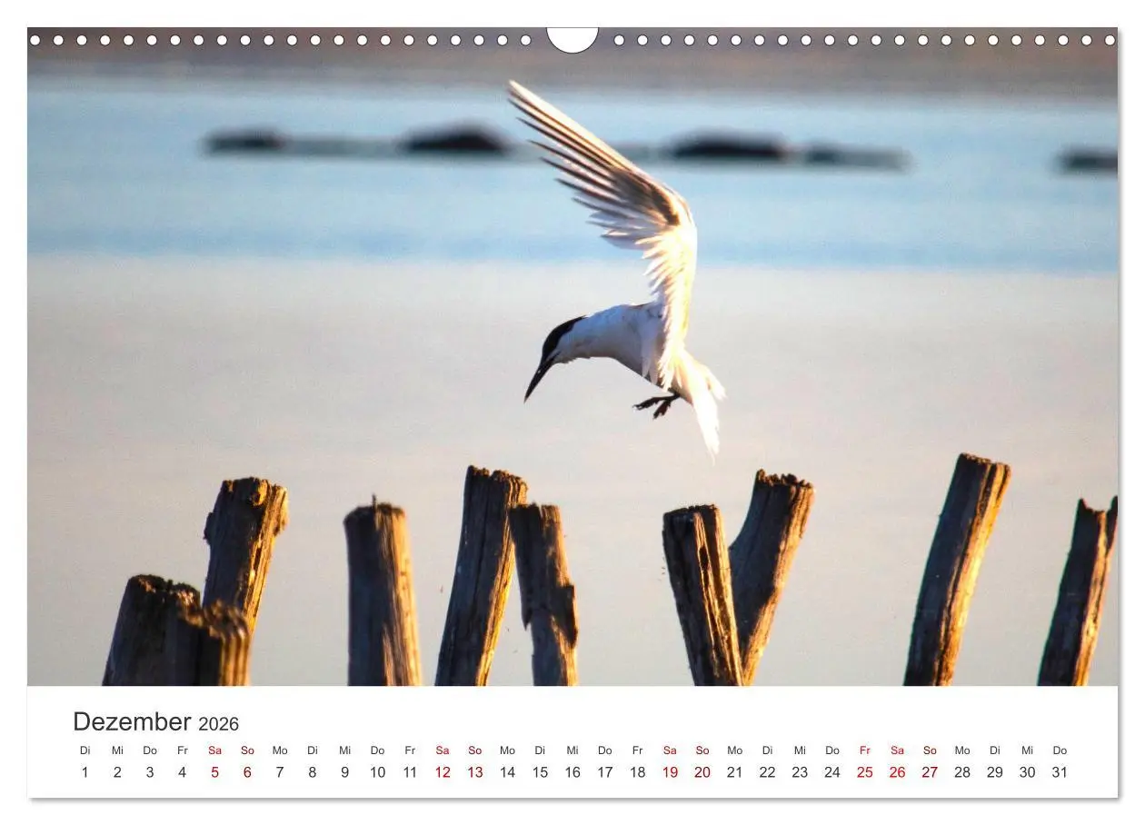 Bild: 9783457611456 | Bulgarien - Eine Reise zum Schwarzen Meer. (Wandkalender 2026 DIN...