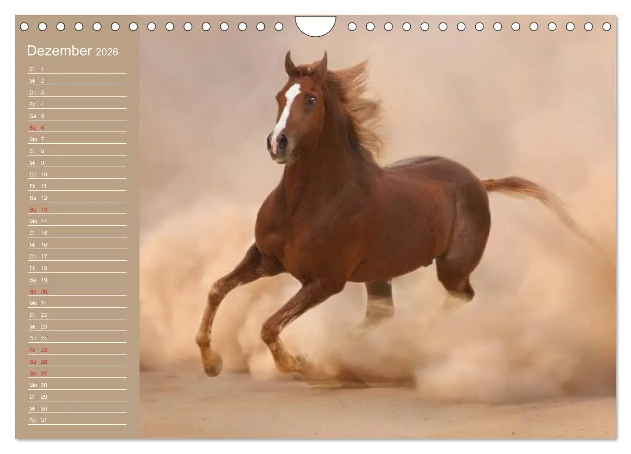 Bild: 9783516011456 | Pferde. Araber im Wüstensand (Wandkalender 2026 DIN A4 quer),...