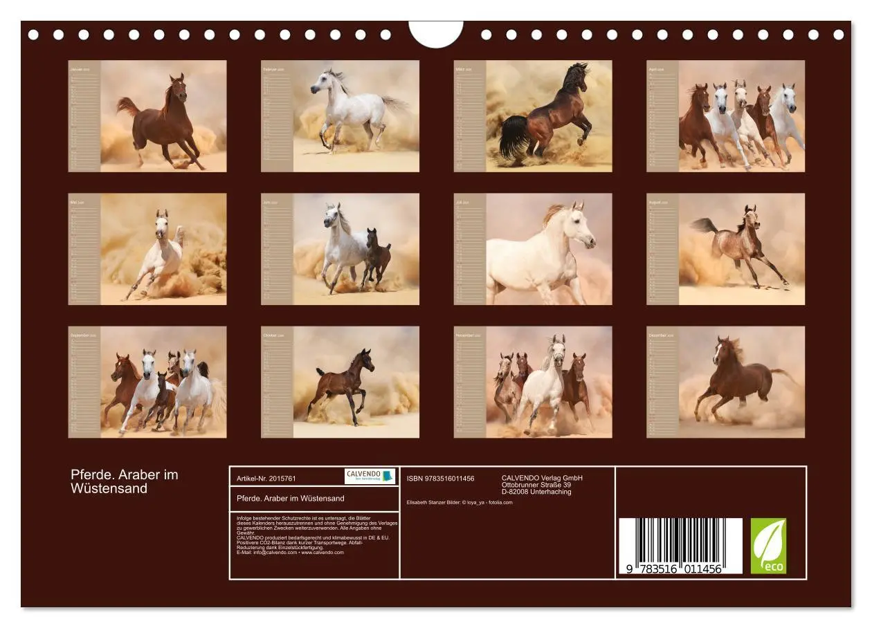 Bild: 9783516011456 | Pferde. Araber im Wüstensand (Wandkalender 2026 DIN A4 quer),...