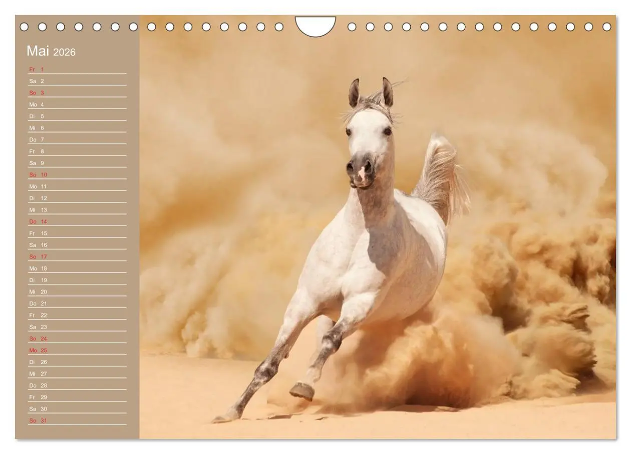 Bild: 9783516011456 | Pferde. Araber im Wüstensand (Wandkalender 2026 DIN A4 quer),...
