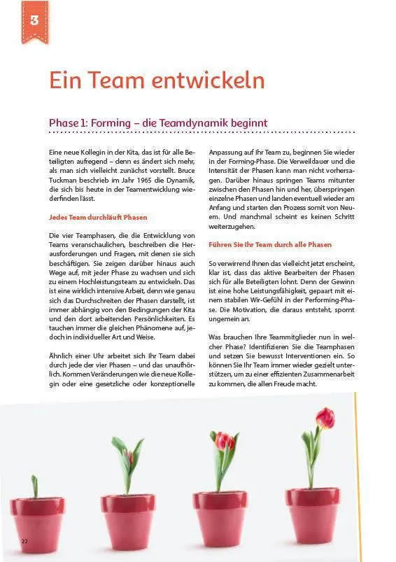 Bild: 9783960461456 | Teamentwicklung in der Kita | Marion Offergeld (u. a.) | Taschenbuch