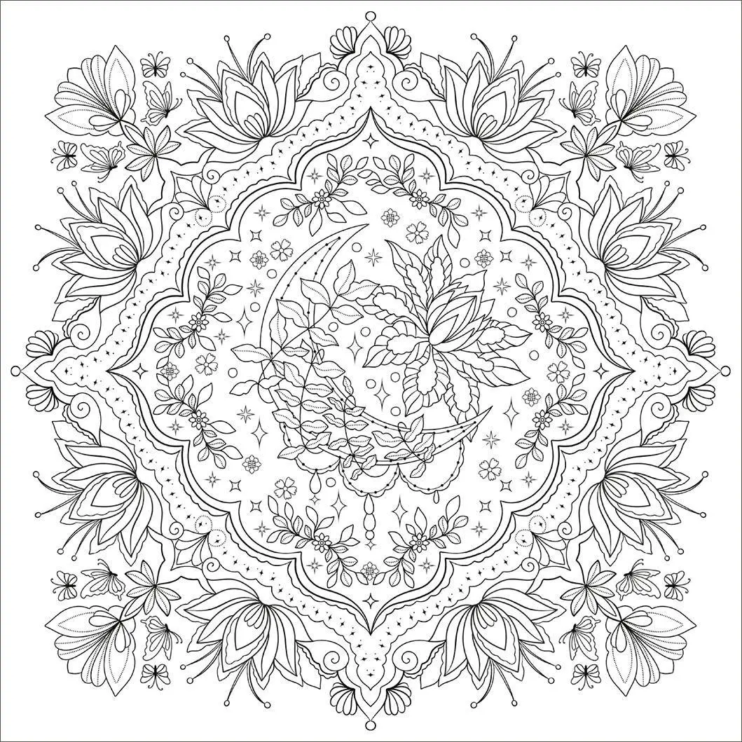 Bild: 4014489141556 | Colour your Dreams | Fantasievolle Motive zum Ausmalen | Enders | Buch