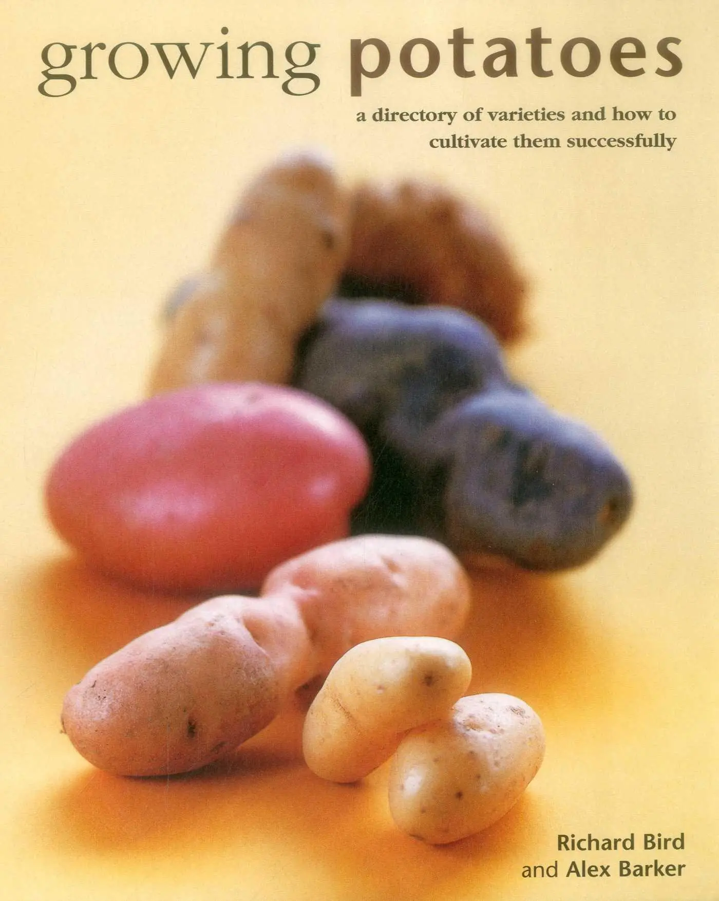 Cover: 9780754831556 | Growing Potatoes | Bird Richard | Buch | Gebunden | Englisch | 2016