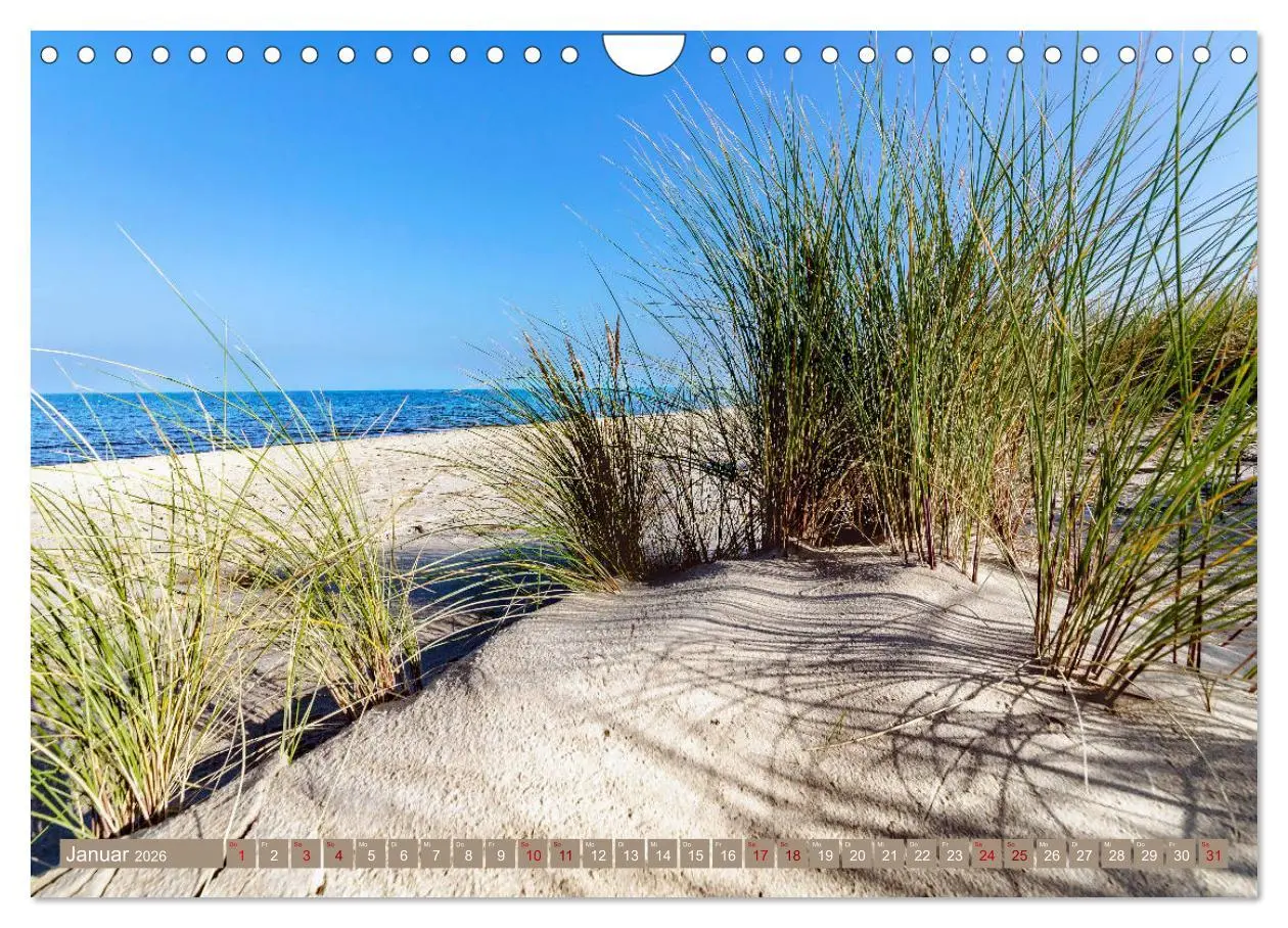 Bild: 9783457911556 | Inselliebe Langeoog (Wandkalender 2026 DIN A4 quer), CALVENDO...