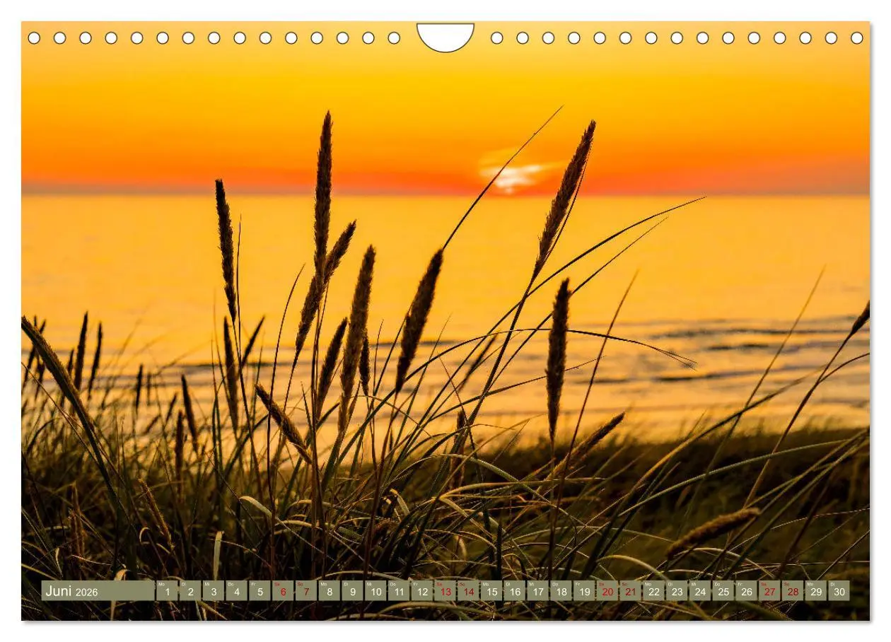 Bild: 9783457911556 | Inselliebe Langeoog (Wandkalender 2026 DIN A4 quer), CALVENDO...