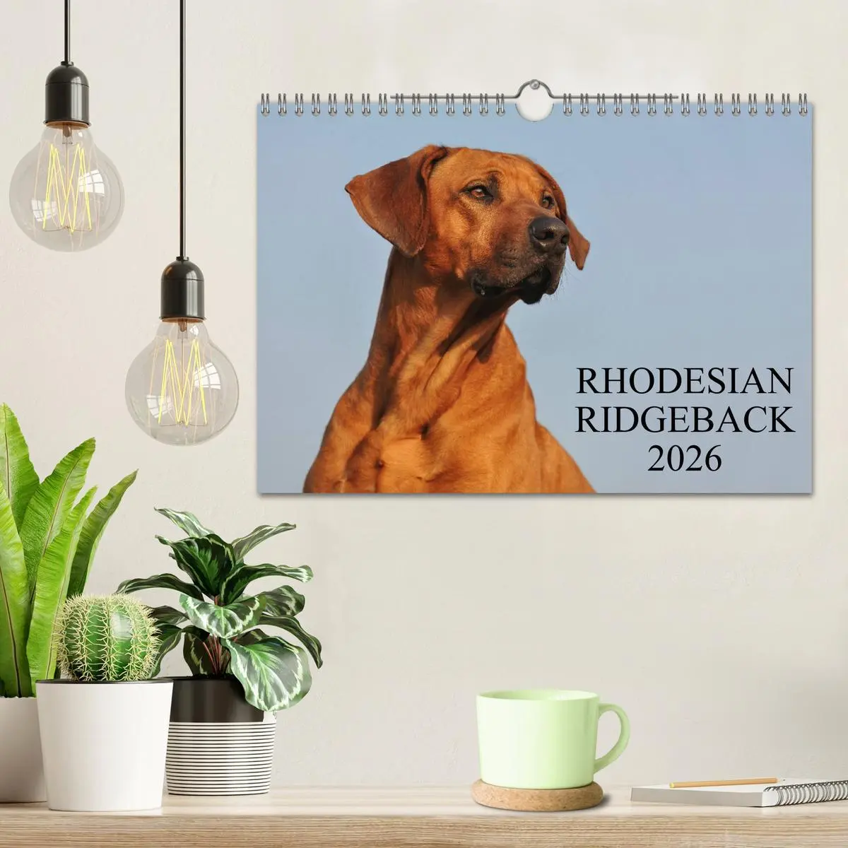 Bild: 9783516161656 | Rhodesian Ridgeback 2026 (Wandkalender 2026 DIN A4 quer), CALVENDO...