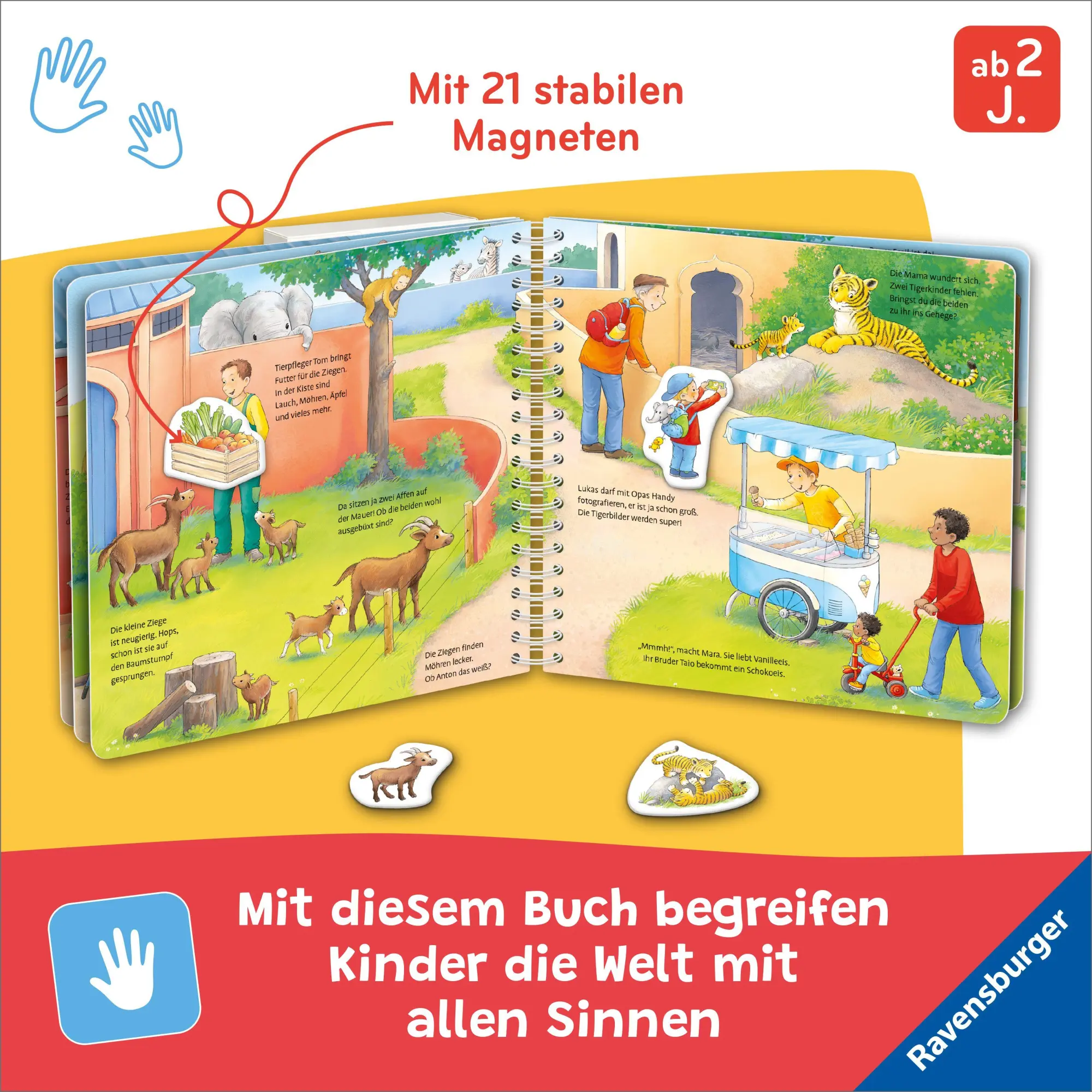 Bild: 9783473421756 | Mein großes Magnetbuch - Wer macht was? | Mit 21 Magneten | Senner