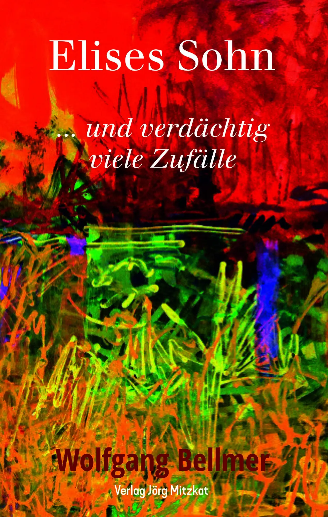 Cover: 9783959541756 | Elises Sohn | Wolfgang Bellmer | Buch | 426 S. | Deutsch | 2025