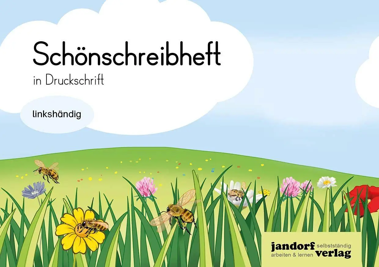 Cover: 9783960811756 | Schönschreibheft in DS - linkshändig | Anja Wachendorf | Broschüre
