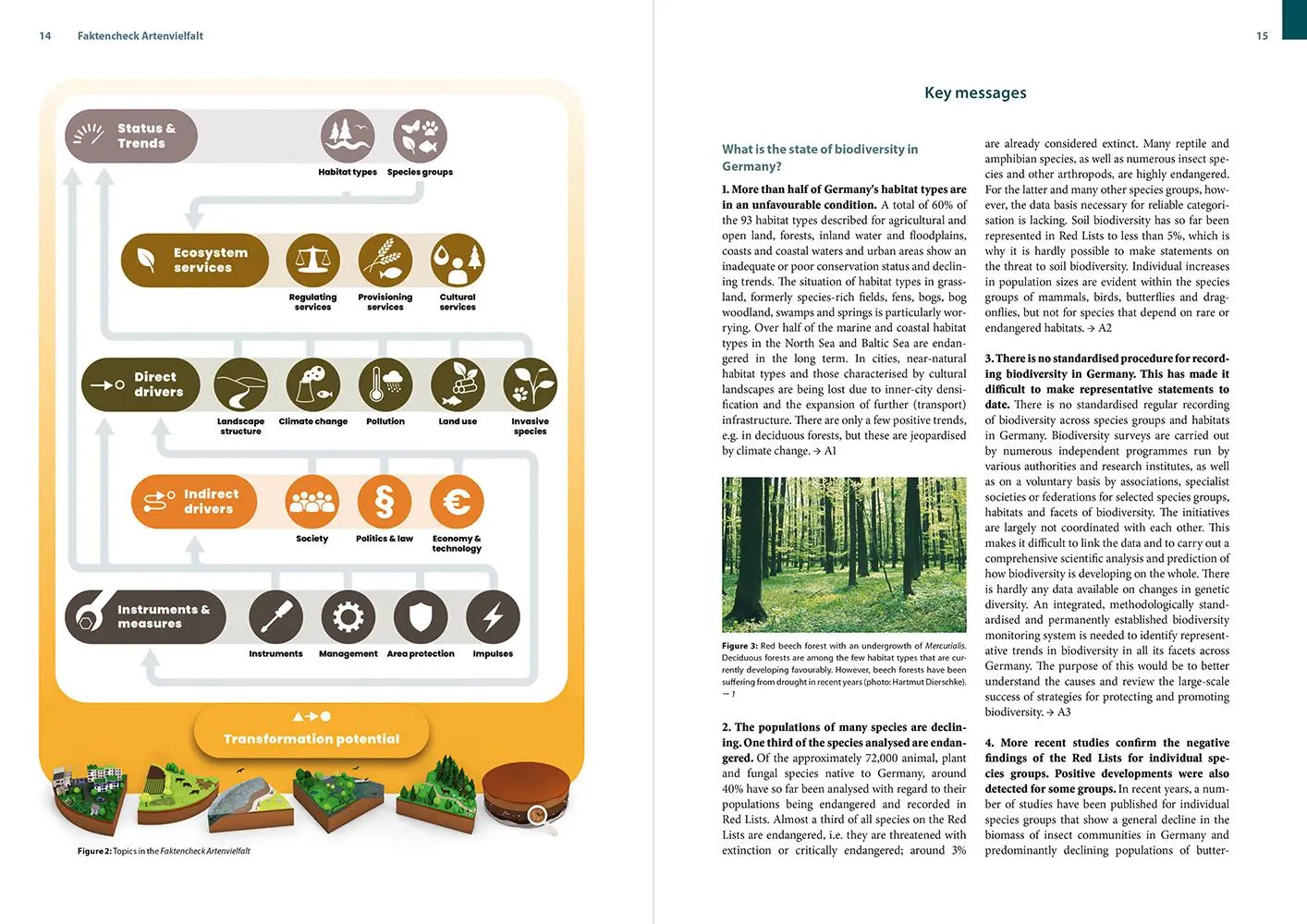Bild: 9783987261756 | Faktencheck Artenvielfalt | Christian Wirth (u. a.) | Taschenbuch