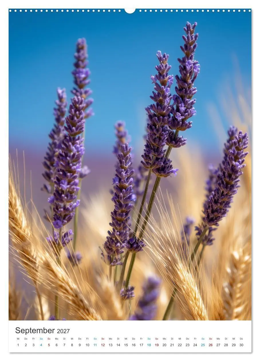 Bild: 9783516761856 | Der Sommer blüht violett (Wandkalender 2027 DIN A2 hoch), CALVENDO...
