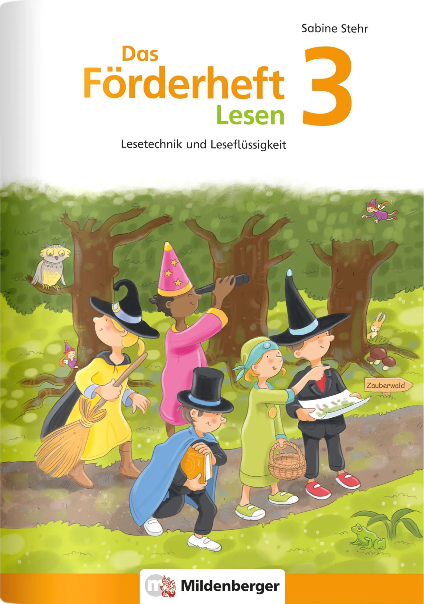 Cover: 9783619341856 | Das Förderheft Lesen 3 | Lesetechnik und Leseflüssigkeit | Stehr
