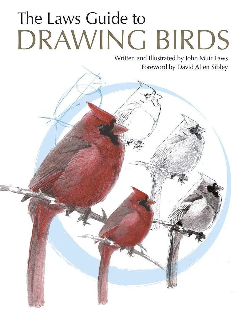 Cover: 9781597141956 | The Laws Guide to Drawing Birds | John Muir Laws | Taschenbuch | 2015