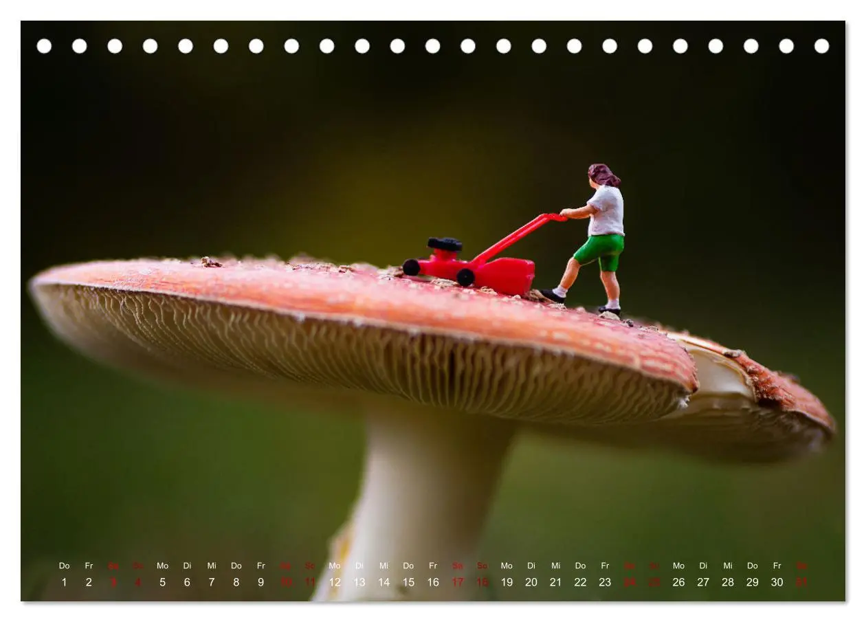 Bild: 9783457591956 | Höher, schneller, kleiner - Miniaturen in unserem Alltag...