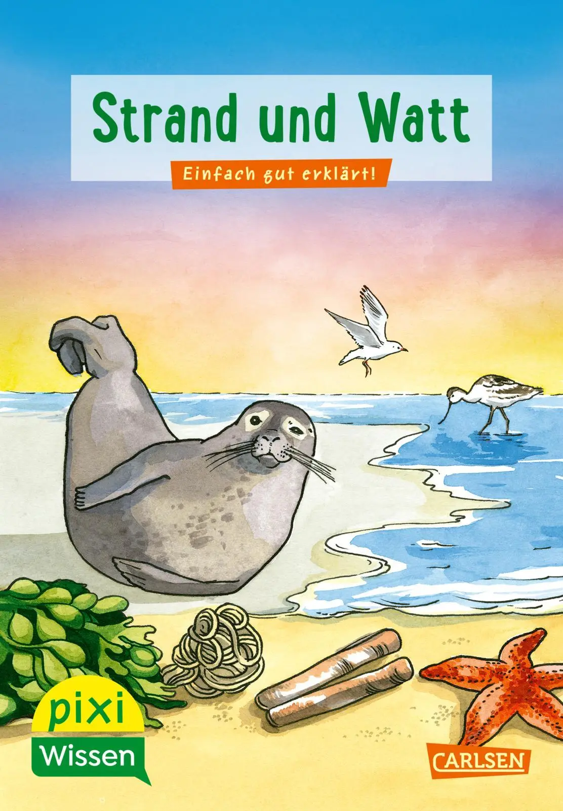 Cover: 9783551231956 | Pixi Wissen 33: VE 5 Strand und Watt | Brigitte Hoffmann | Broschüre