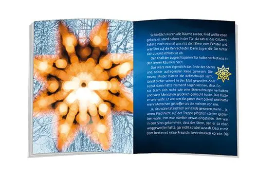 Bild: 9783987001956 | Sternenreise | Eine Weihnachtsgeschichte | Doris Bewernitz | Buch