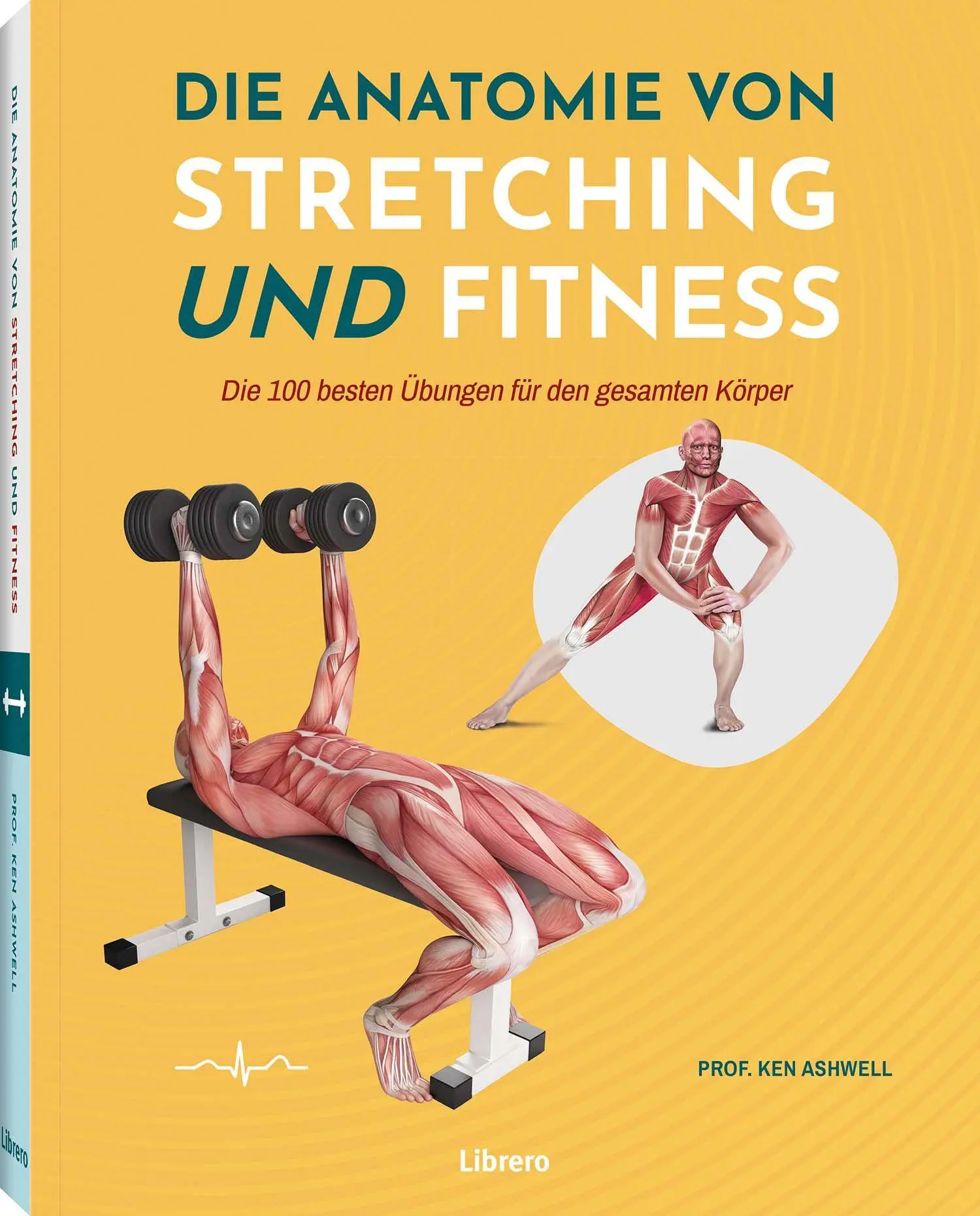 Cover: 9789464991956 | Die Anatomie von Stretching und Fitness | Ken Ashwell | Taschenbuch