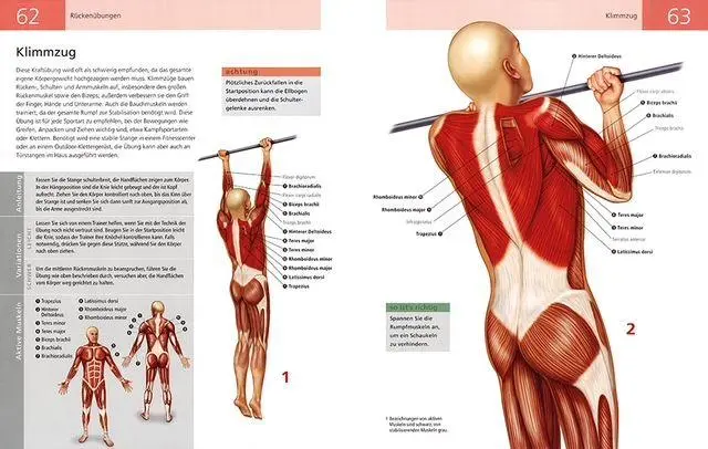 Bild: 9789464991956 | Die Anatomie von Stretching und Fitness | Ken Ashwell | Taschenbuch