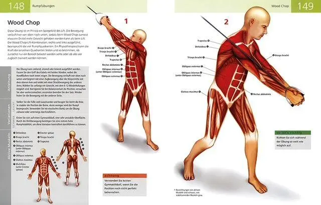 Bild: 9789464991956 | Die Anatomie von Stretching und Fitness | Ken Ashwell | Taschenbuch