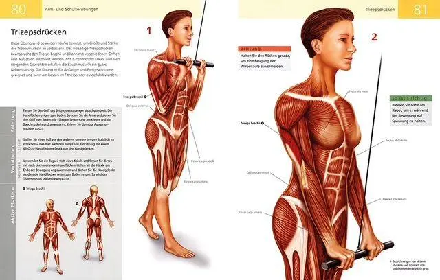 Bild: 9789464991956 | Die Anatomie von Stretching und Fitness | Ken Ashwell | Taschenbuch