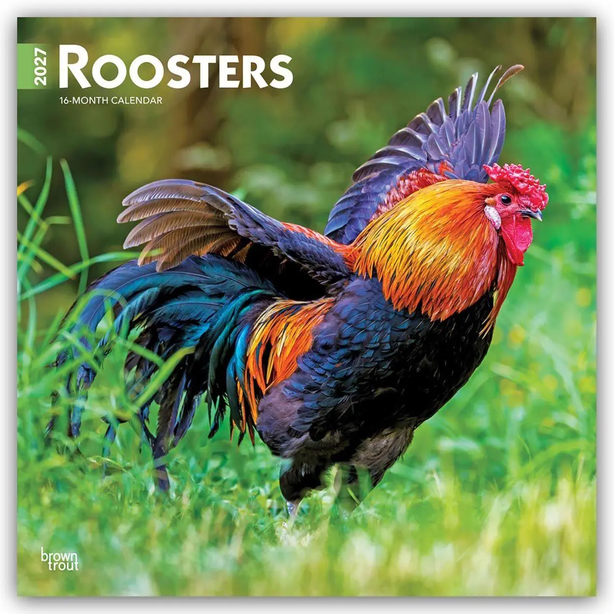 Cover: 9798330711956 | Roosters - Hähne 2027 - 16-Monatskalender | Browntrout Publishers