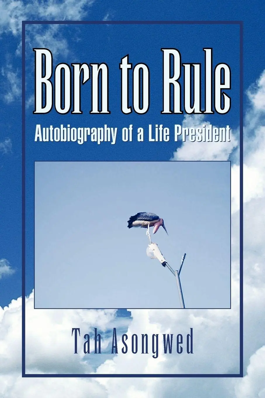 Cover: 9781425762056 | Born to Rule | Tah Asongwed | Taschenbuch | Kartoniert / Broschiert