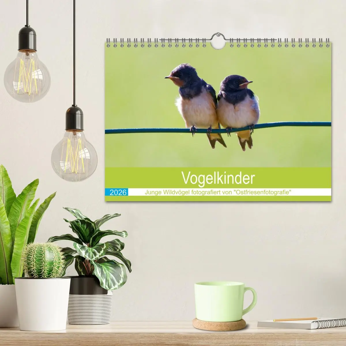 Bild: 9783457622056 | Vogelkinder - Junge Wildvögel (Wandkalender 2026 DIN A4 quer),...