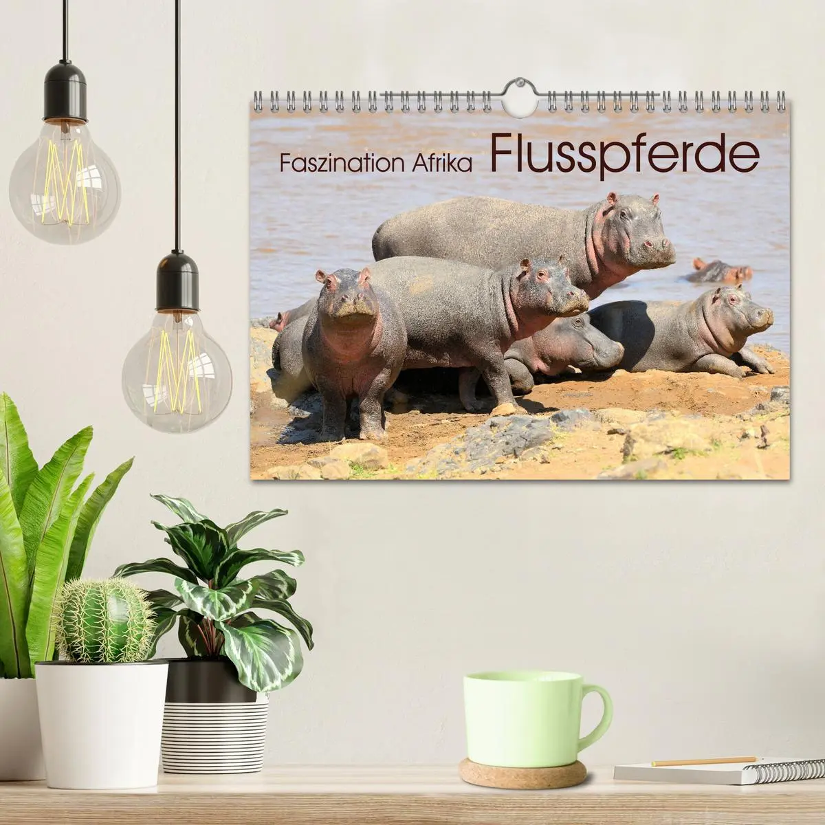 Bild: 9783457792056 | Faszination Afrika: Flusspferde (Wandkalender 2026 DIN A4 quer),...