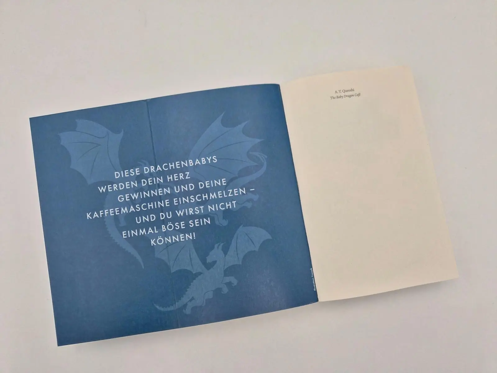 Bild: 9783492722056 | The Baby Dragon Café | A. T. Qureshi | Taschenbuch | 352 S. | Deutsch