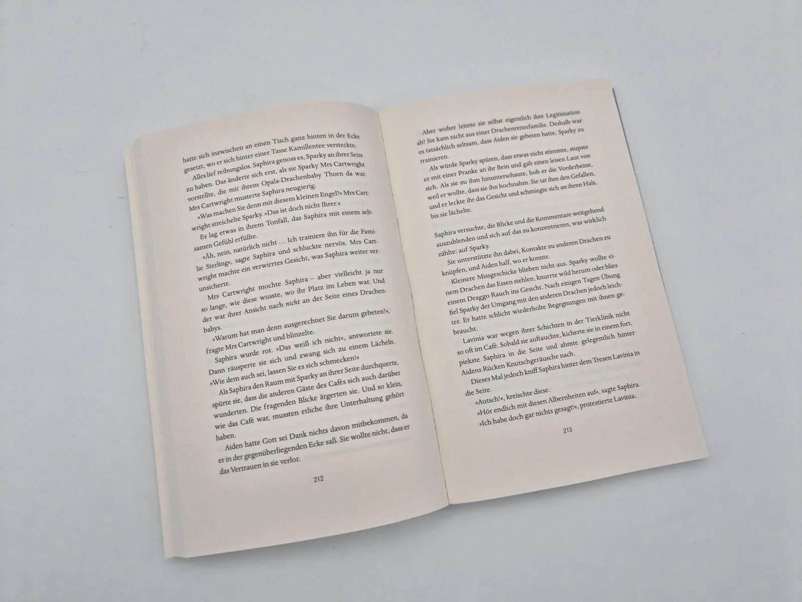 Bild: 9783492722056 | The Baby Dragon Café | A. T. Qureshi | Taschenbuch | 352 S. | Deutsch