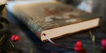Bild: 9783868262056 | Healing - Aktiviere deine Selbstheilungskräfte und transformiere...